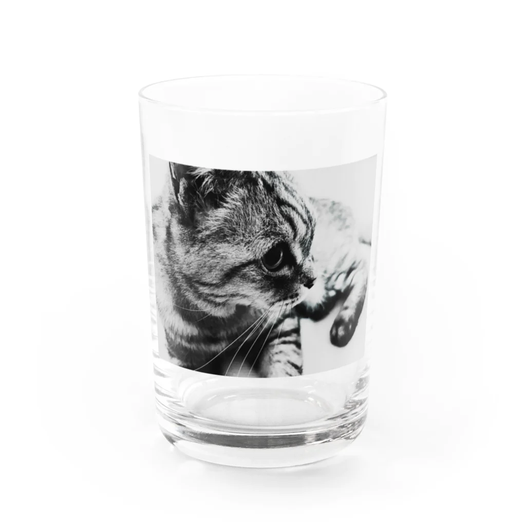 ronのろんＴ Water Glass :front