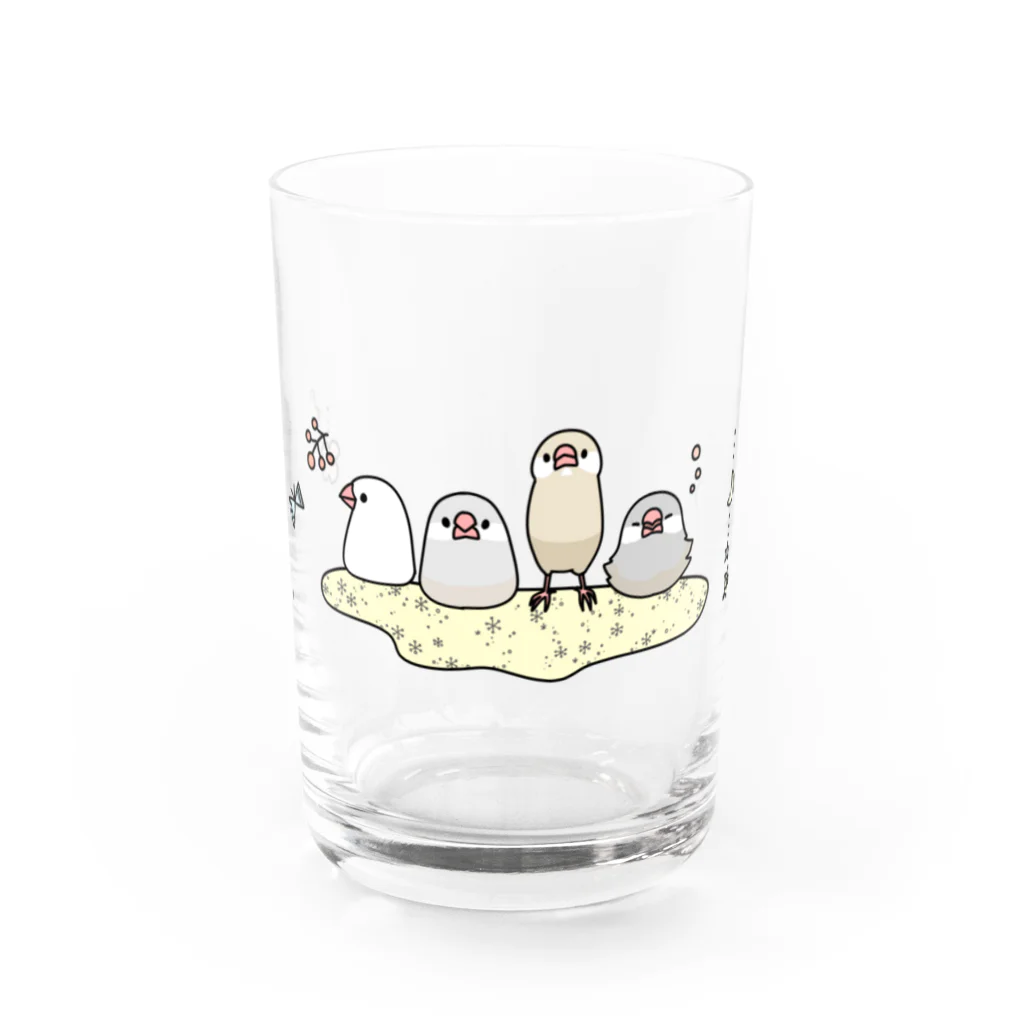 ・buncho days・ 文鳥デイズのキラふわ文鳥 Water Glass :front