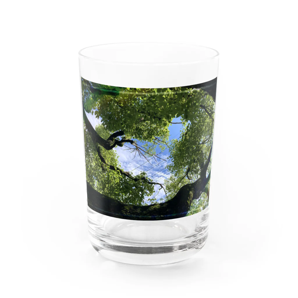 星川屋さんのハート型の空 Water Glass :front