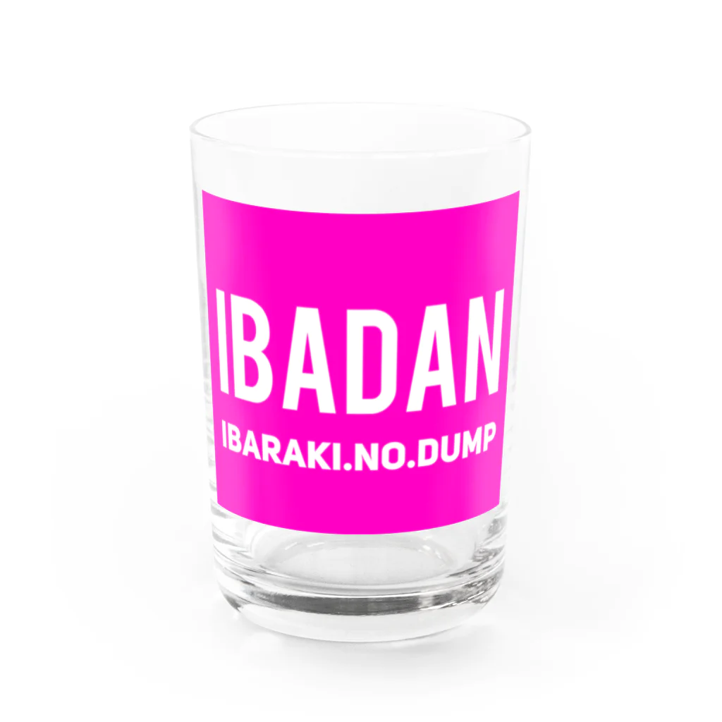 IBADANのイバダン　タンブラーピンク Water Glass :front