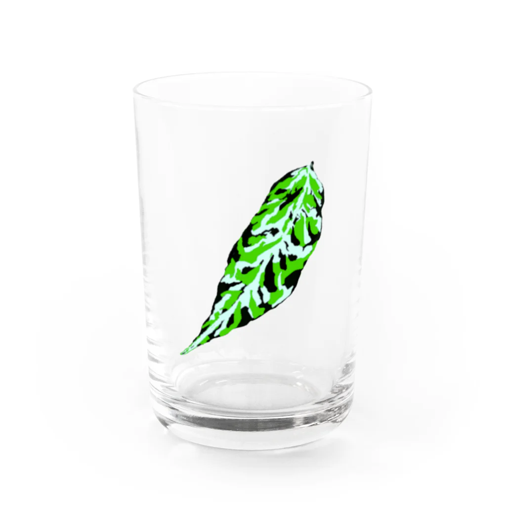 FOXWORKSのアグラオネマリーフ Water Glass :front