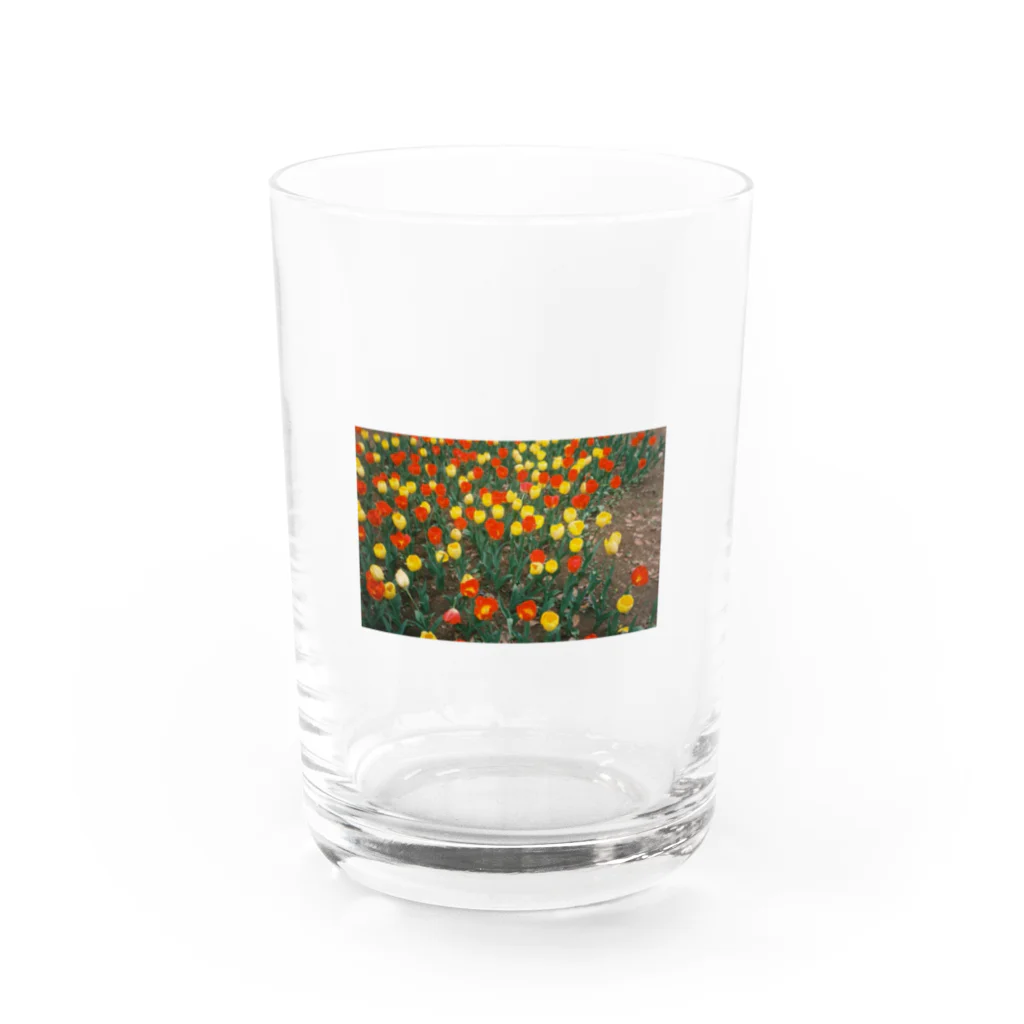 omusubi panのtulip Water Glass :front