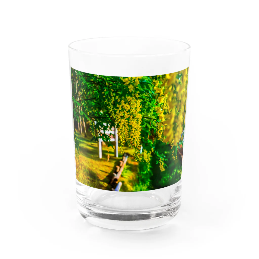 HANA-STUDIOのキングサリ Water Glass :front