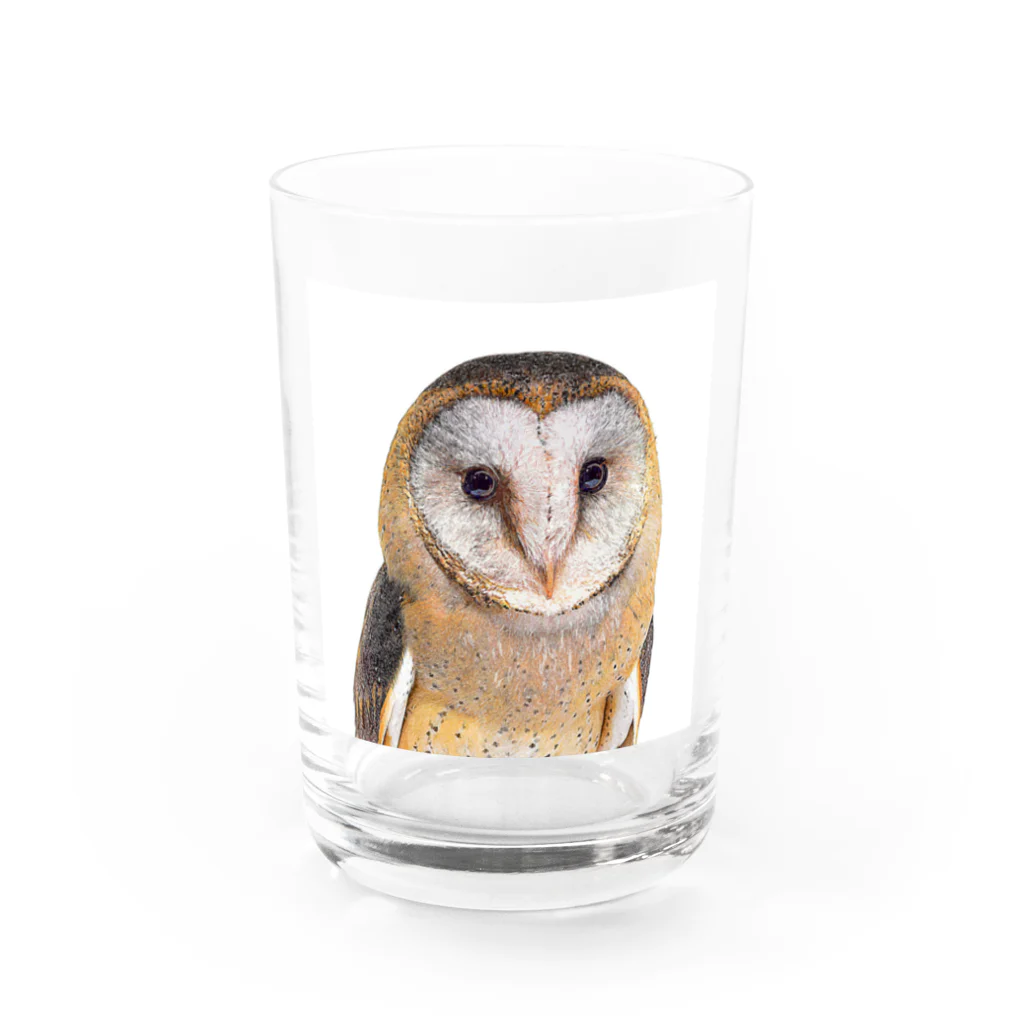 【CPPAS】Custom Pet Portrait Art Studioの可愛いメンフクロウ Water Glass :front