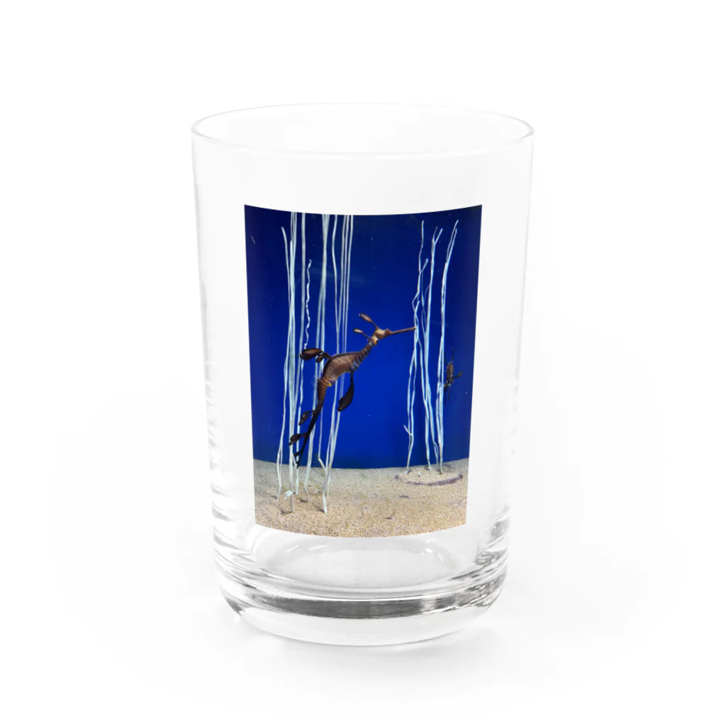 HIROMI10のウィーディ·シードラゴン Water Glass :front