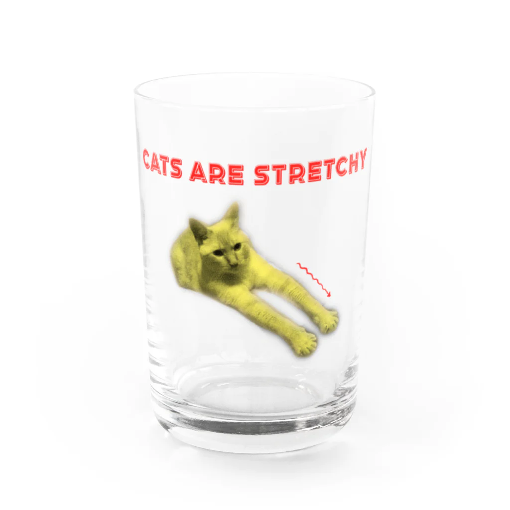 イエネコの猫は伸びる Water Glass :front