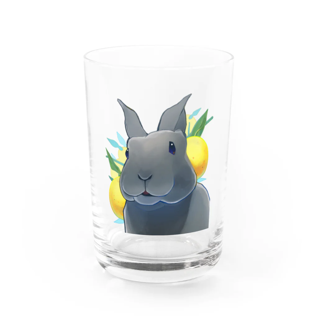 Mountain-and-Valleyのミニレッキスのゆずくん Water Glass :front