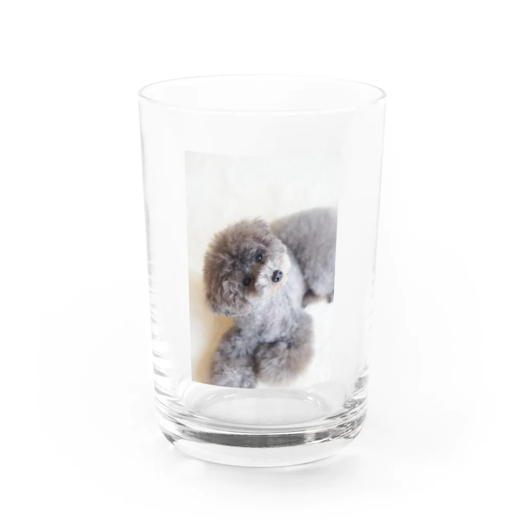 lino-himeのトイプードル Water Glass :front