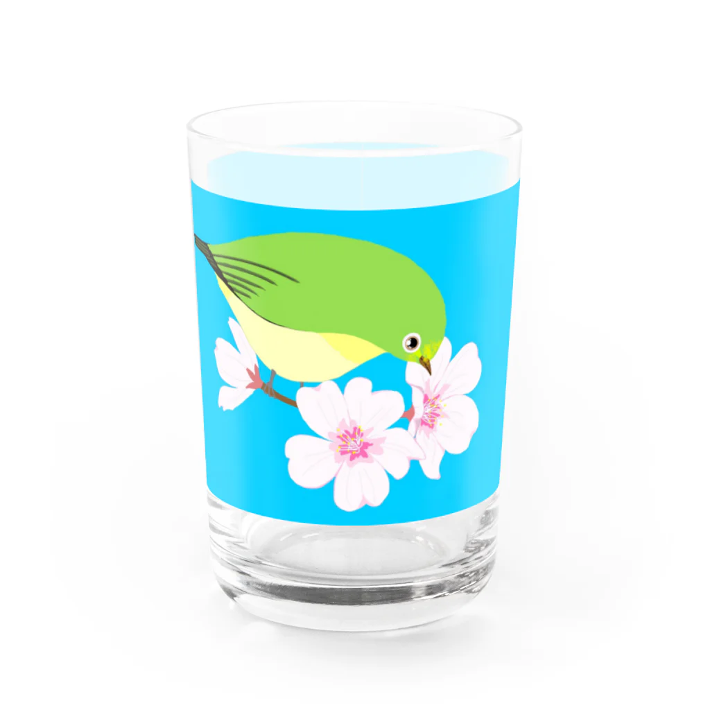 LalaHangeulの桜とメジロさん Water Glass :front