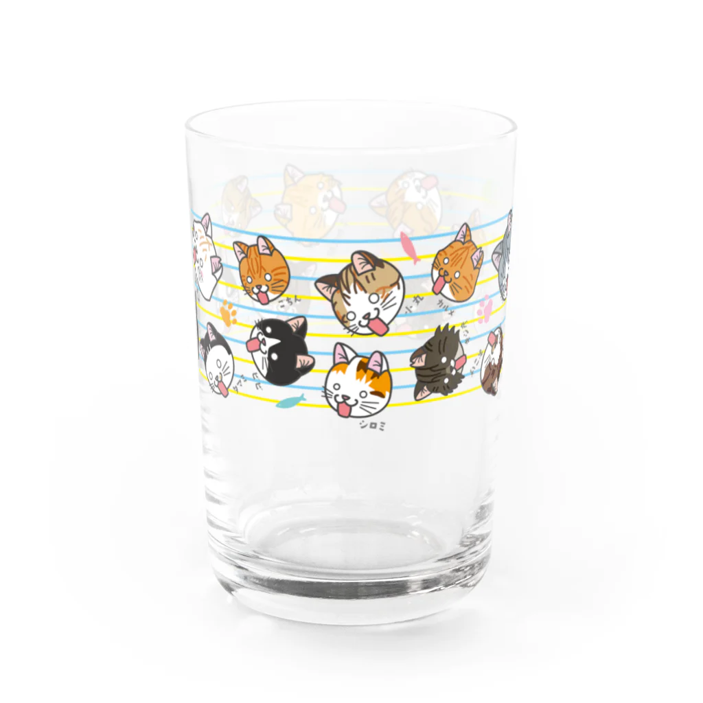 色白商店のフレーメン反応 猫グラス グラス前面