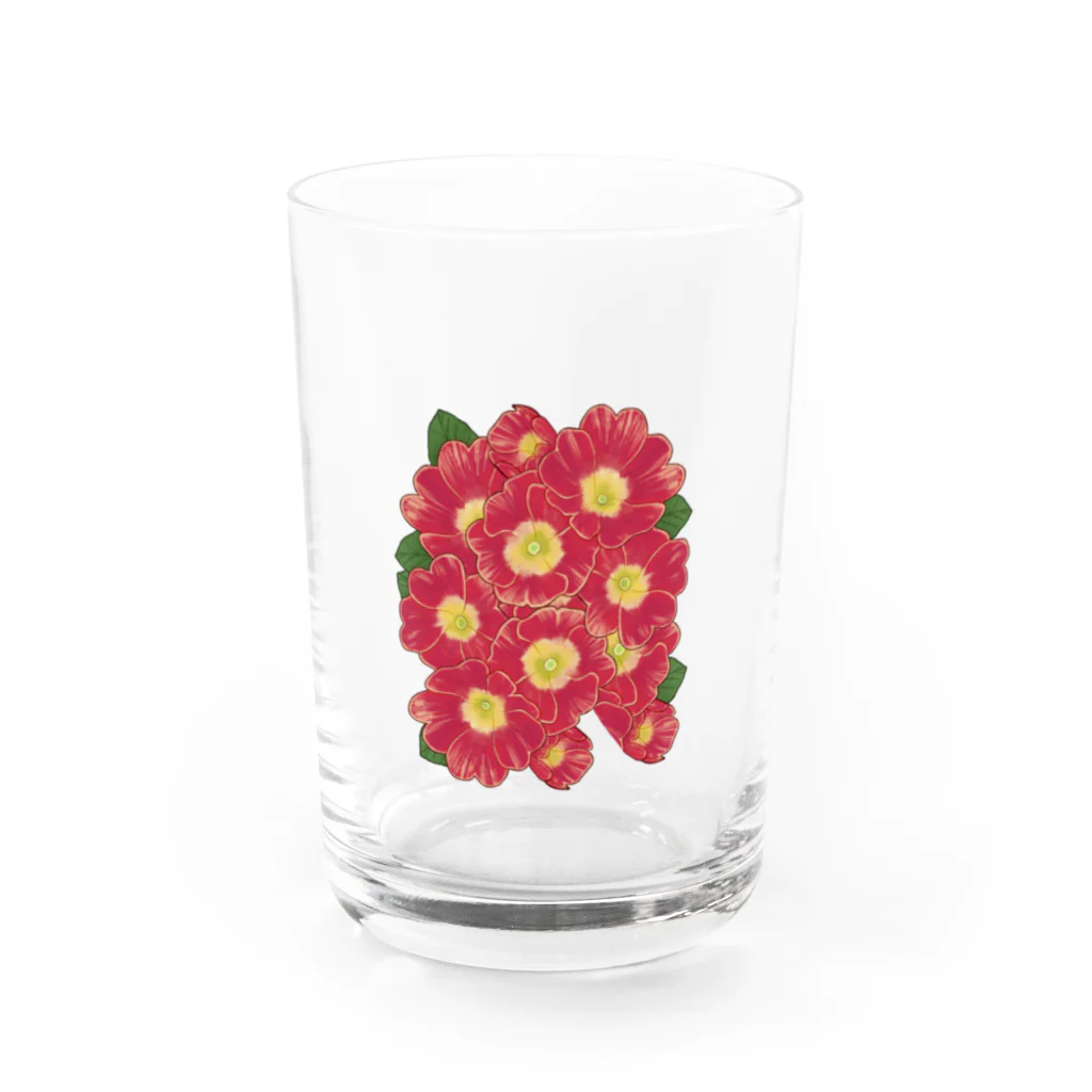 machiのプリムラ Water Glass :front