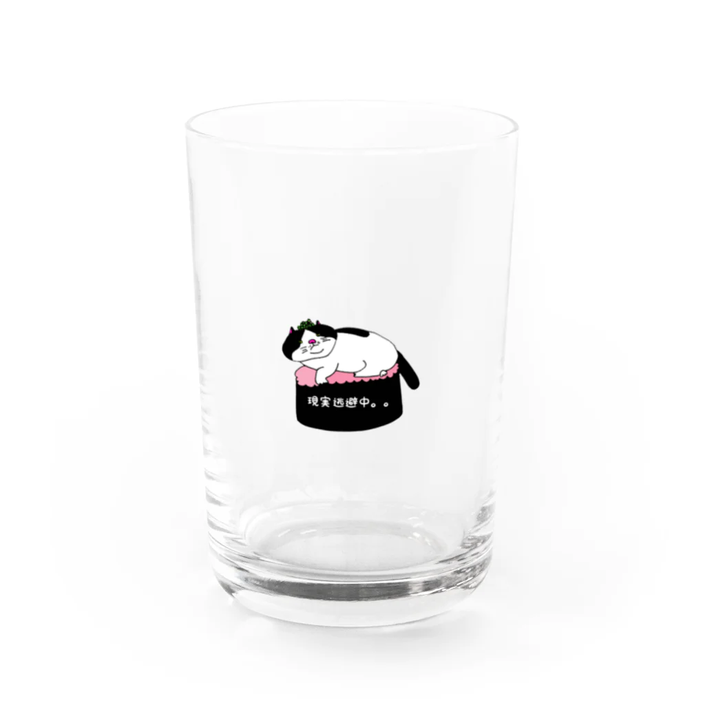 箱入りハチワレ猫　みょんの箱入りネコみょん Water Glass :front