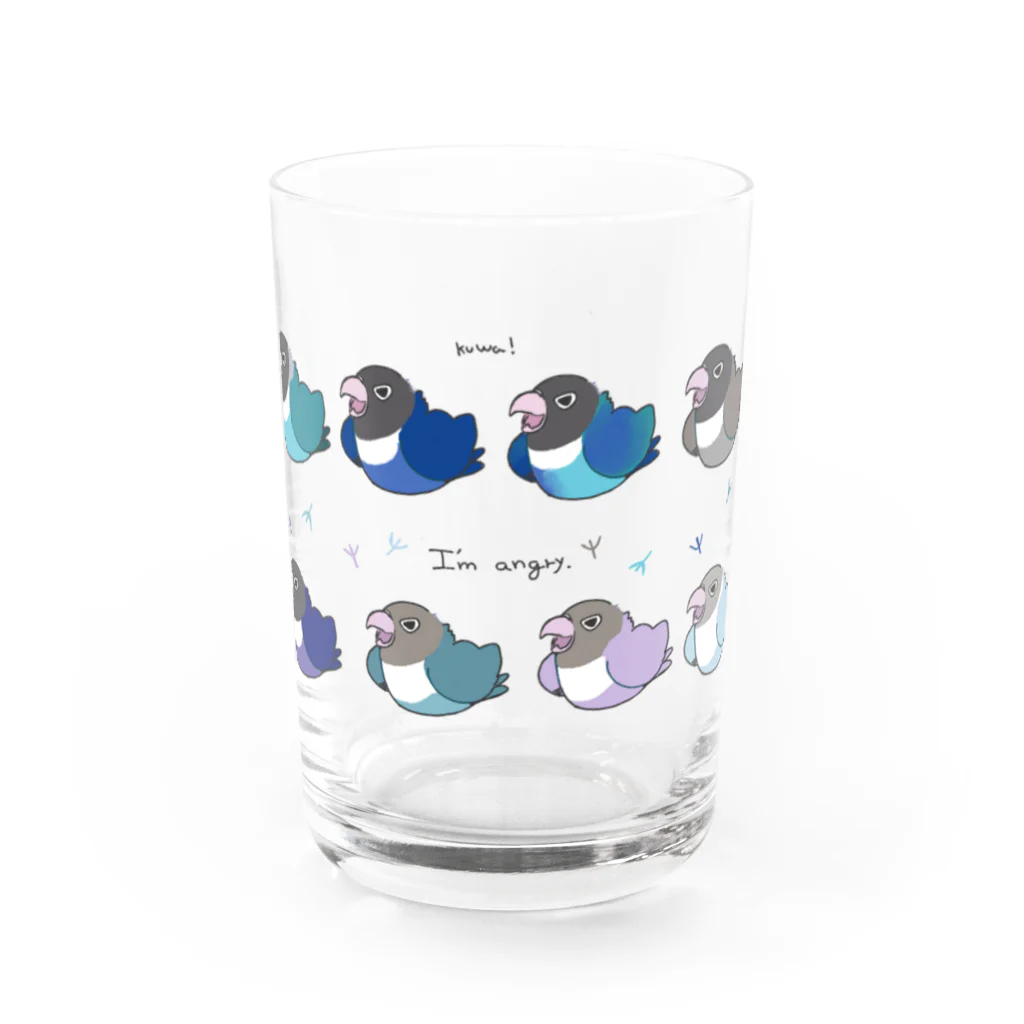 おりすの巣のアングリーラブバード　ボタンインコ達（ブルー） Water Glass :front