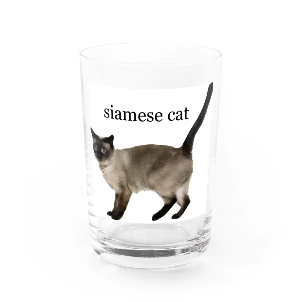 Siamese cat シャムのシャム猫海ちゃん Water Glass :front