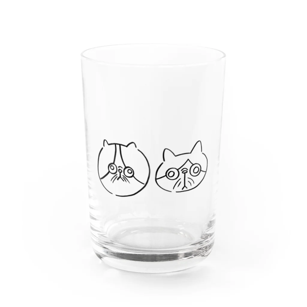 Comame's storeのエキゾチックショートヘアの子猫 Water Glass :front