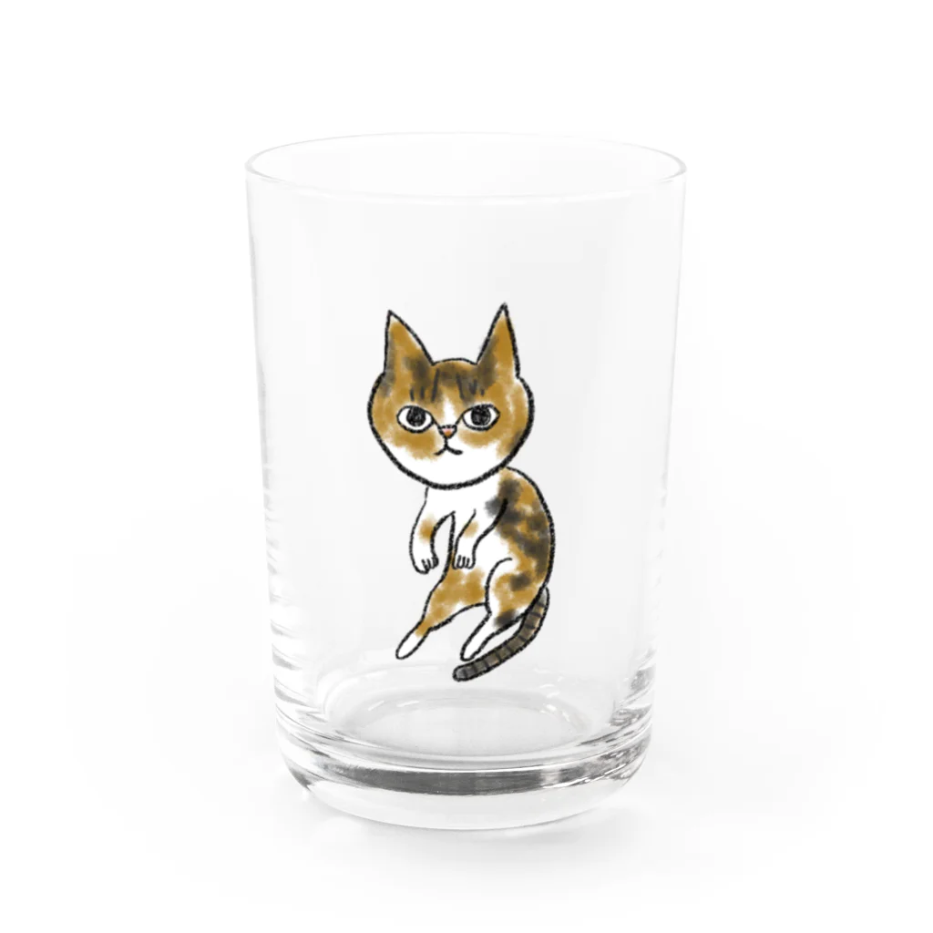 ニャンコ一族のかわいいさち Water Glass :front