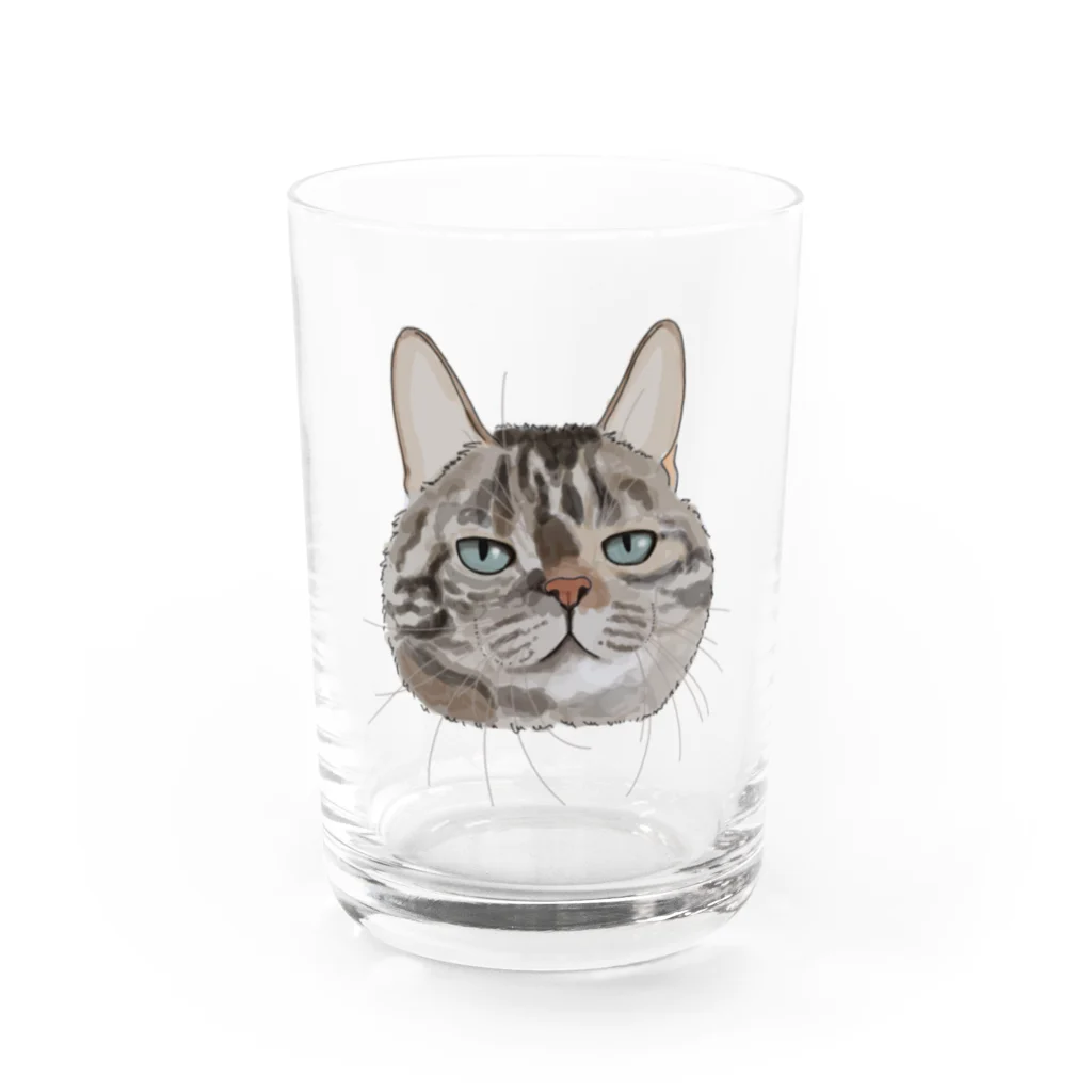 カナタ　フタバのキジトラ柄の猫 Water Glass :front