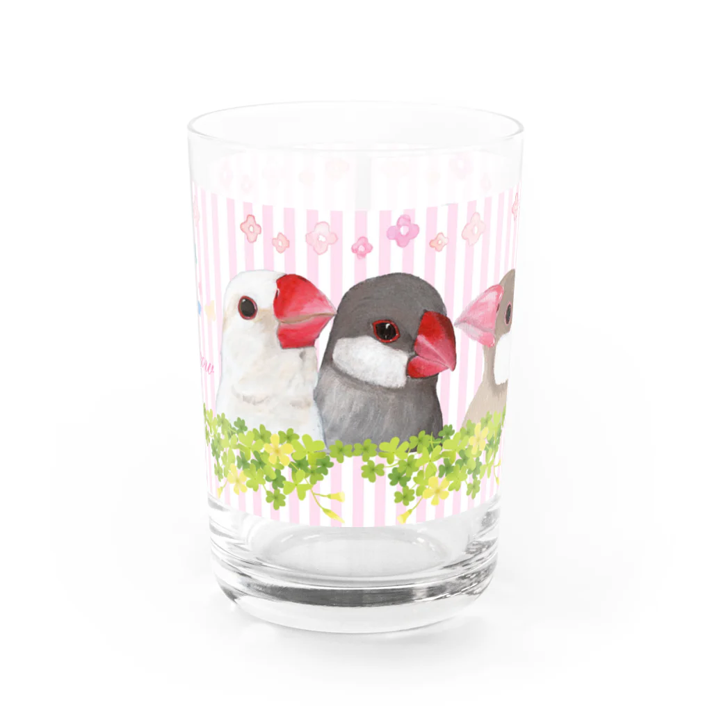 きゃぴあてれびショップ（スズリ店）の文鳥・ぶんちょ～ず｜スズリ限定デザイン グッズ　Jsparrowava sparrow Water Glass :front