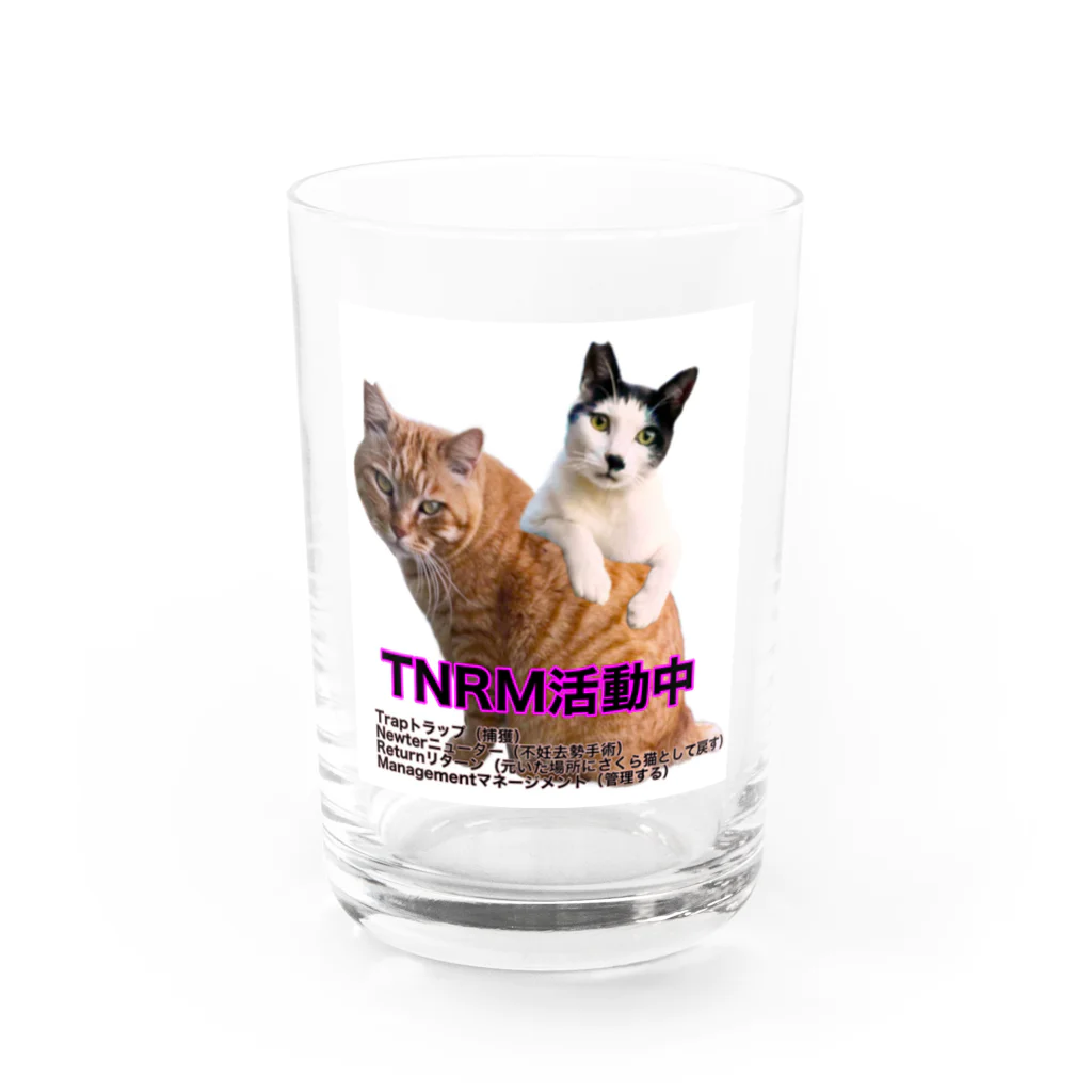 Dede's Furriendsのさくら猫チャンミーとココロ Water Glass :front