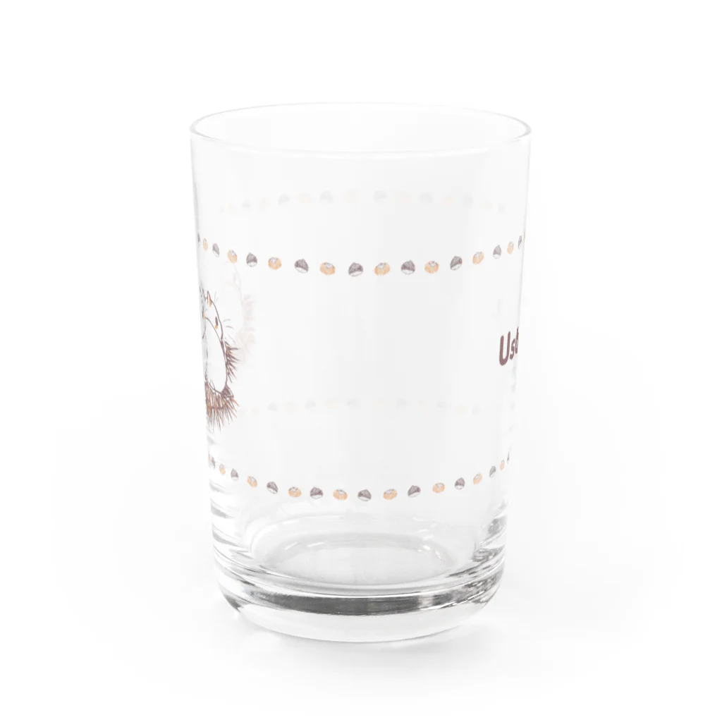 Usapiaのイガ栗　うさぎベビー Water Glass :front