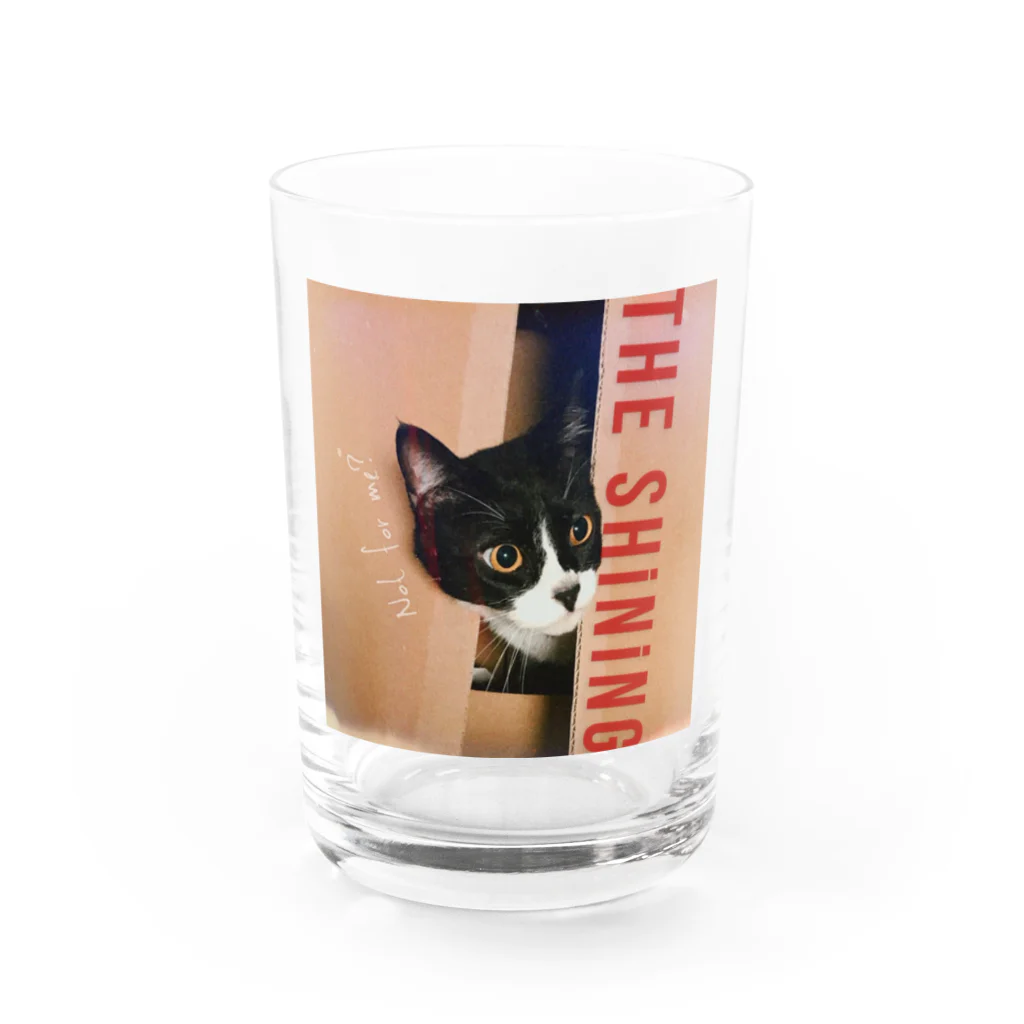 Hachi_urのHachi「THE SHiNiNG」 Water Glass :front