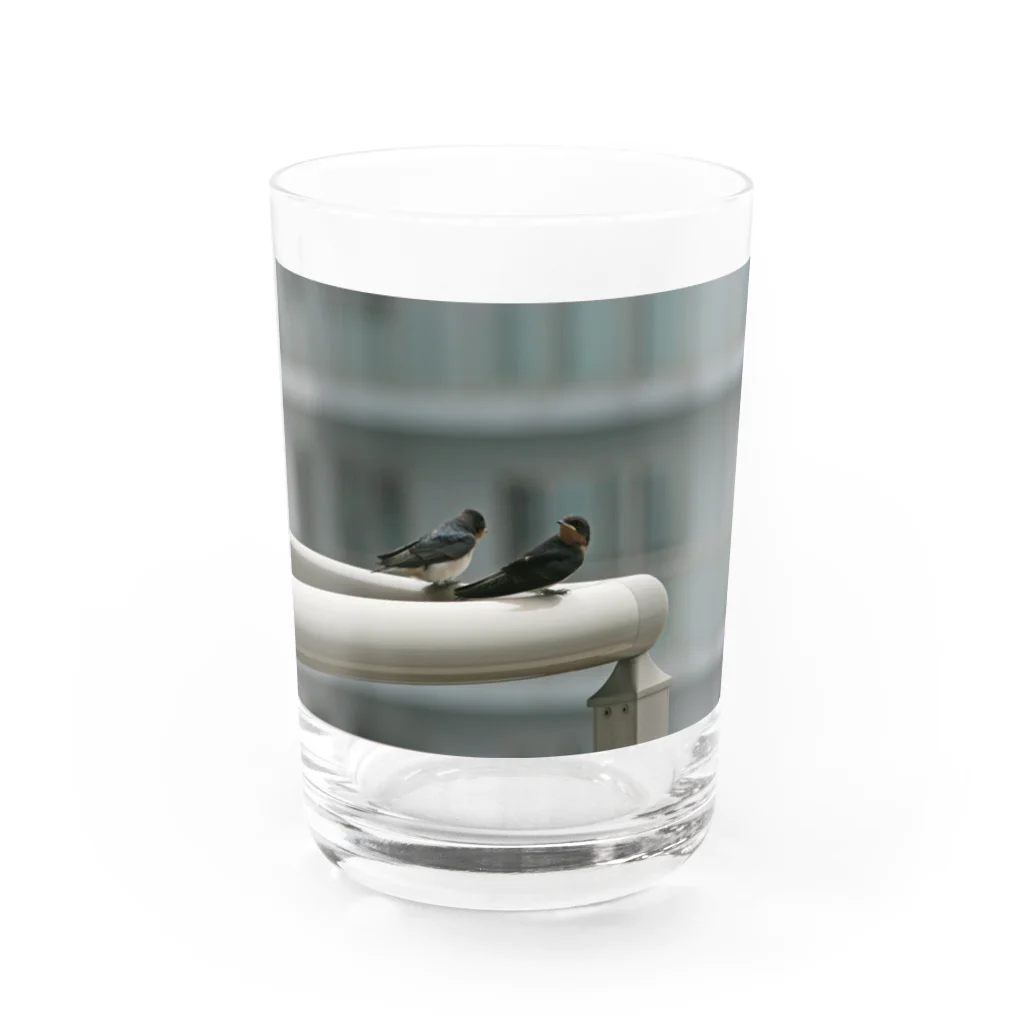 nokkccaのスワローズ - Swallows - Water Glass :front