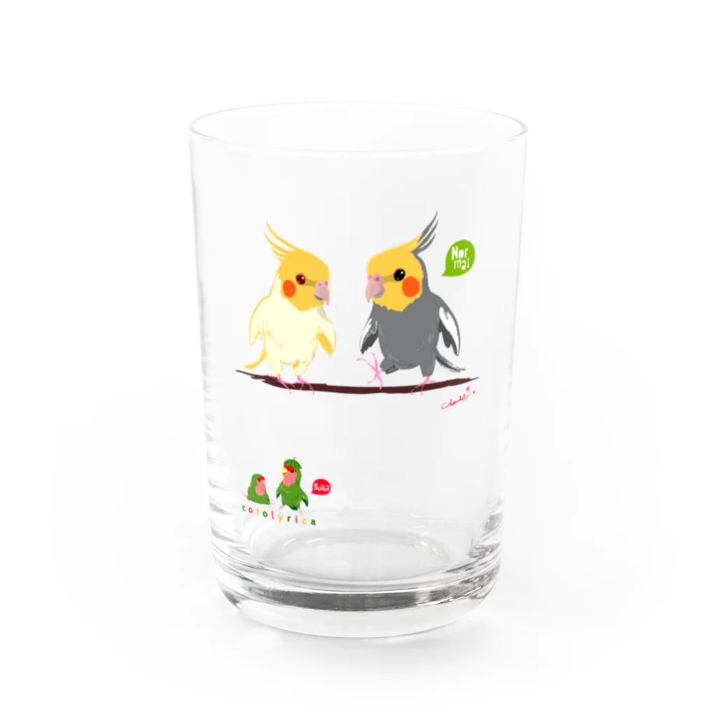 LittleLoroのどノーマルオカメインコとルチノーちょいわき 0350 Water Glass :front