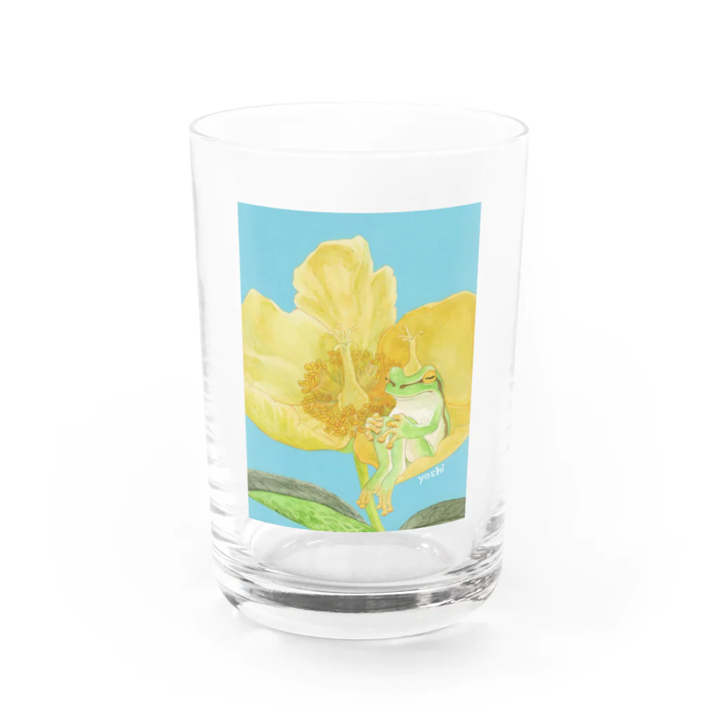 yoshi-gardenのアマガエルと金糸梅 Water Glass :front