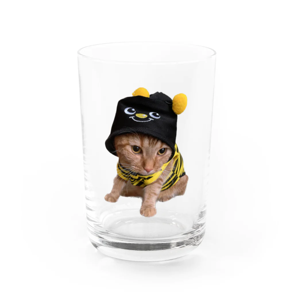 茶太郎🐱とモンブランの茶太郎のコスプレ ハチシリーズ Water Glass :front