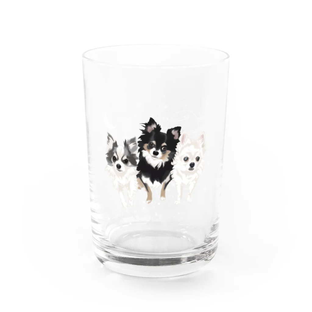 Letiのチョコ、チップ、ソラ Water Glass :front