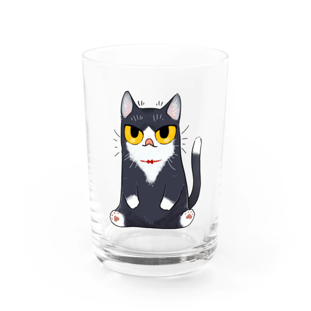 はまきの鼻ペロはちわれ靴下猫 Water Glass :front