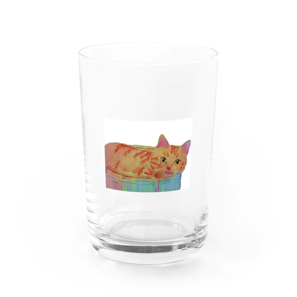 保護猫茶トラ兄弟LIFEのインコちゃん Water Glass :front