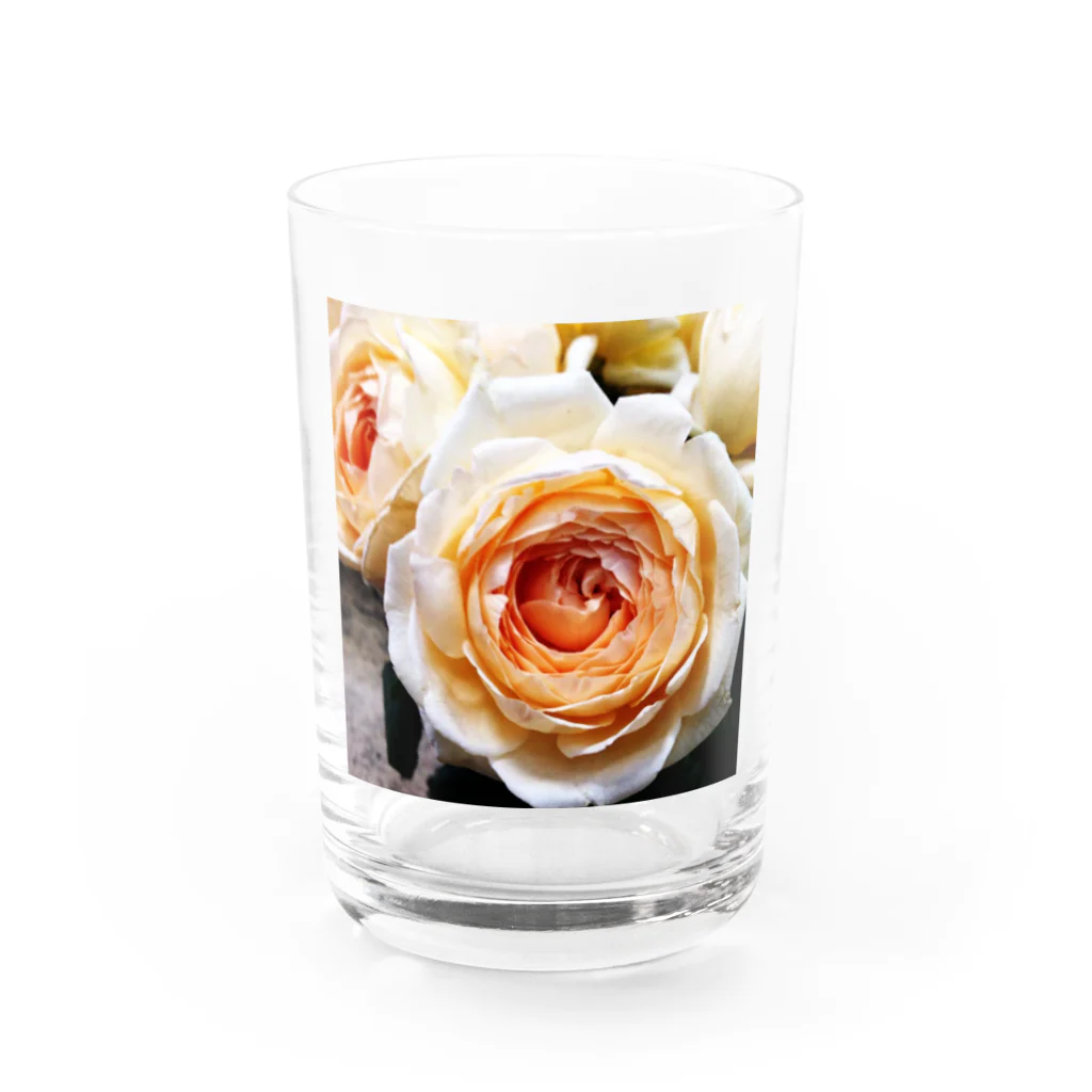 あおい’ｓ libraryのバラrose Water Glass :front