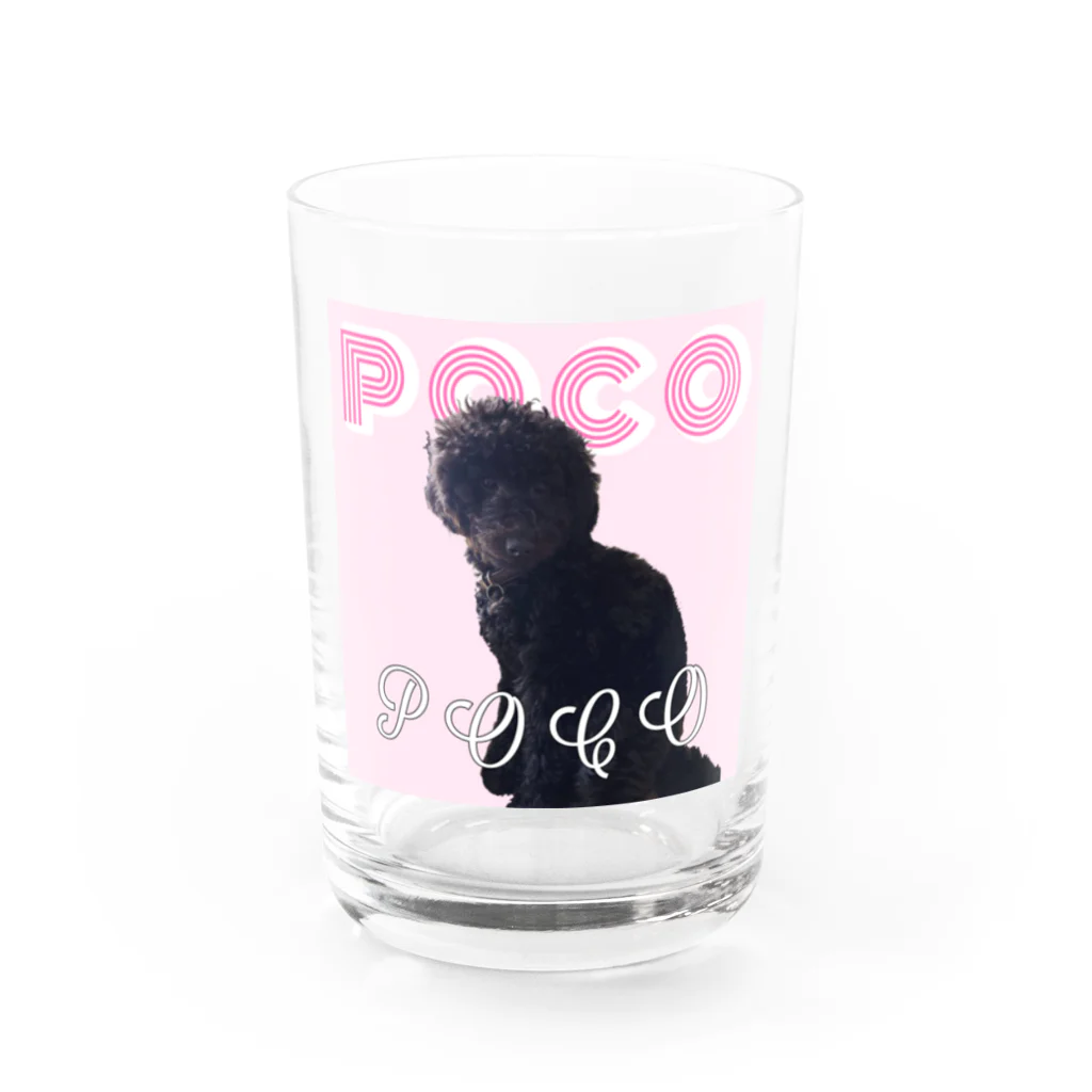 ツッチーニの愛犬 Water Glass :front