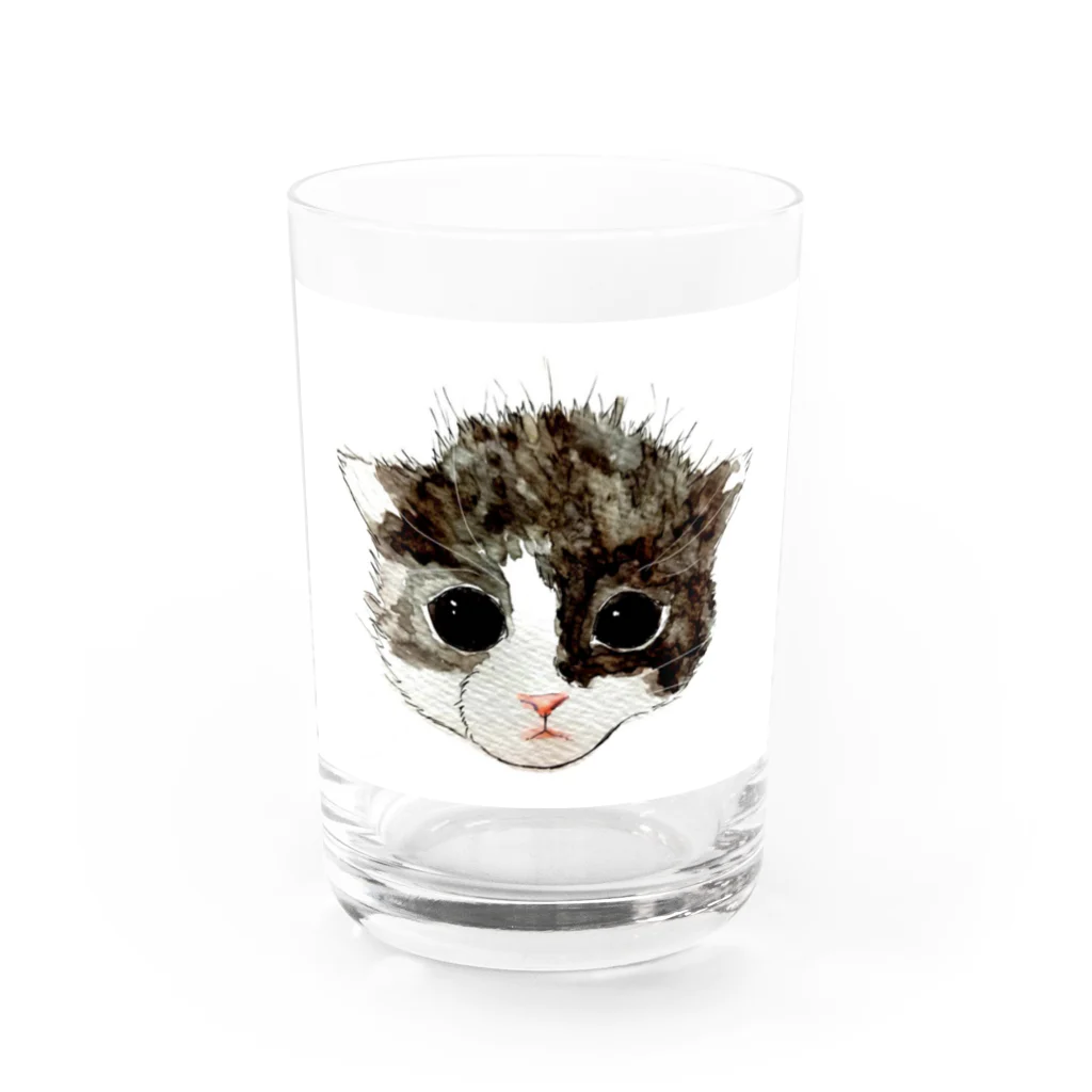 保護猫茶トラ兄弟LIFEの杏ちゃん Water Glass :front