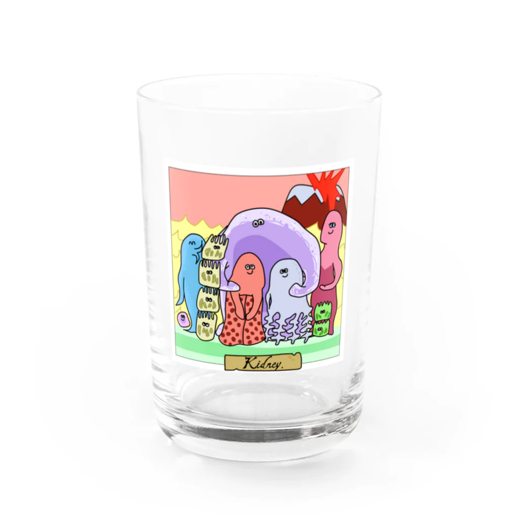 ポドサイトくん/ Podocyte-kunの腎臓家族写真 Water Glass :front