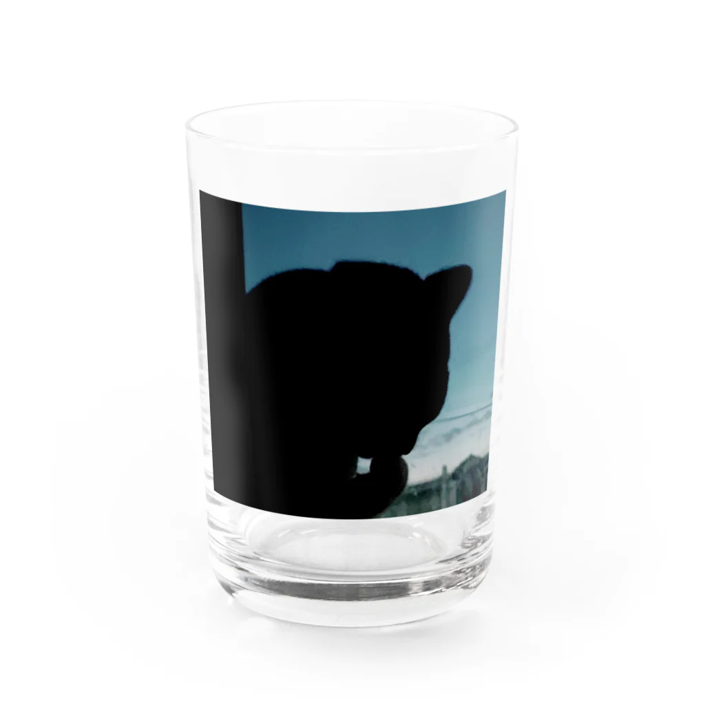 茶色三毛猫ルームの夕方の三毛猫の影 Water Glass :front