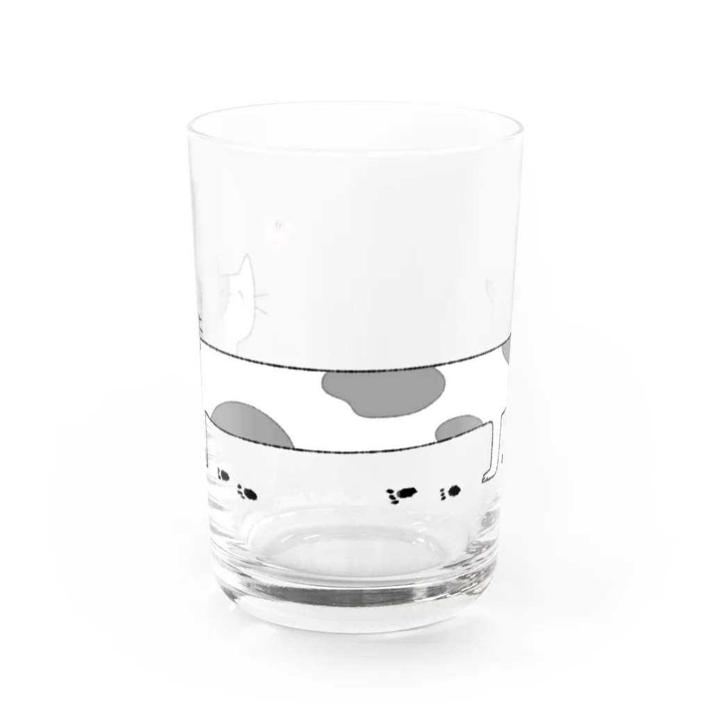  ちぢみんのおさんぽにゃんこ Water Glass :front