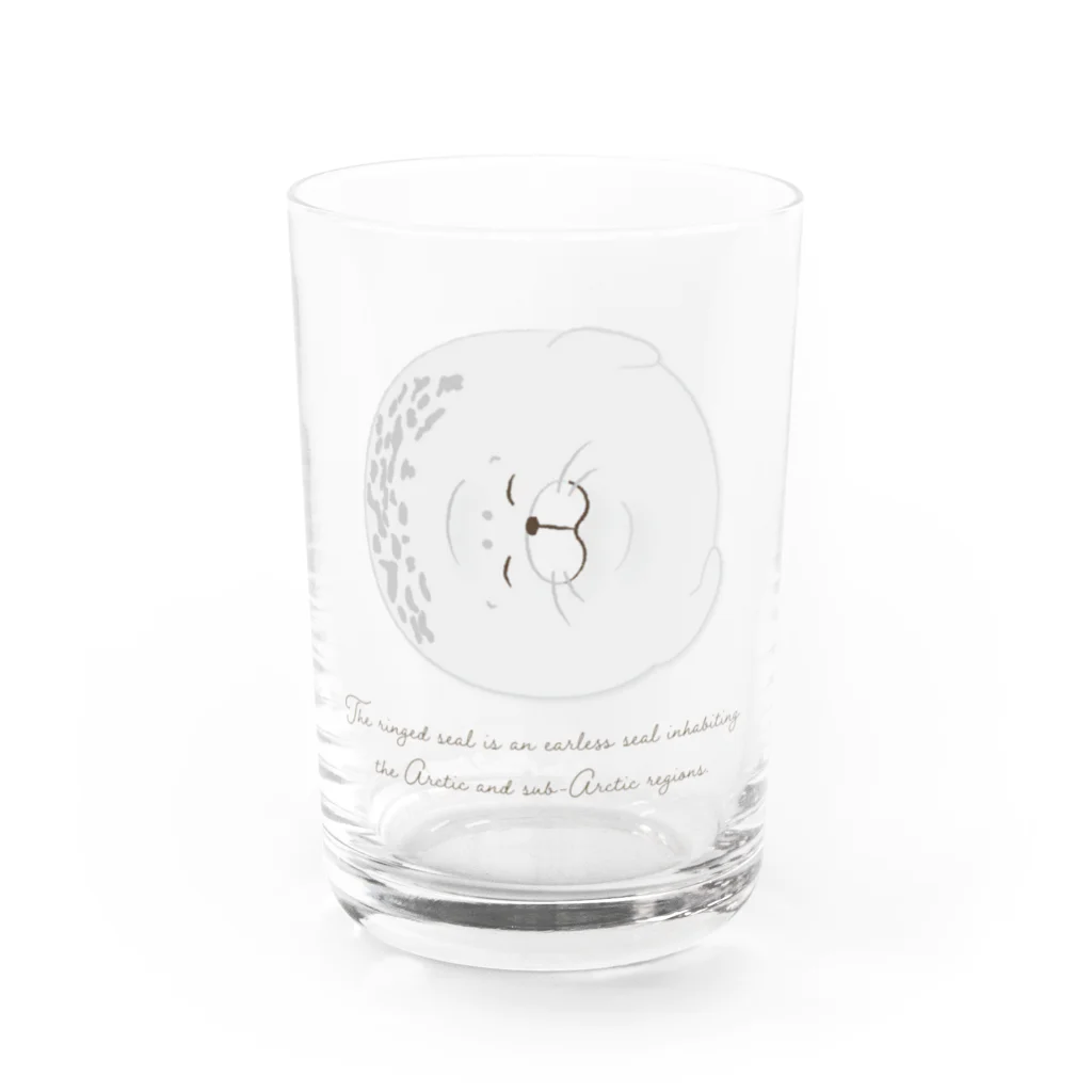 chiho_seal_shopのスヤスヤ ワモンアザラシ sleeping ringed seal Water Glass :front