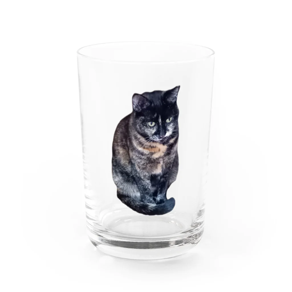 BEEEEEのおすましさびちゃん Water Glass :front