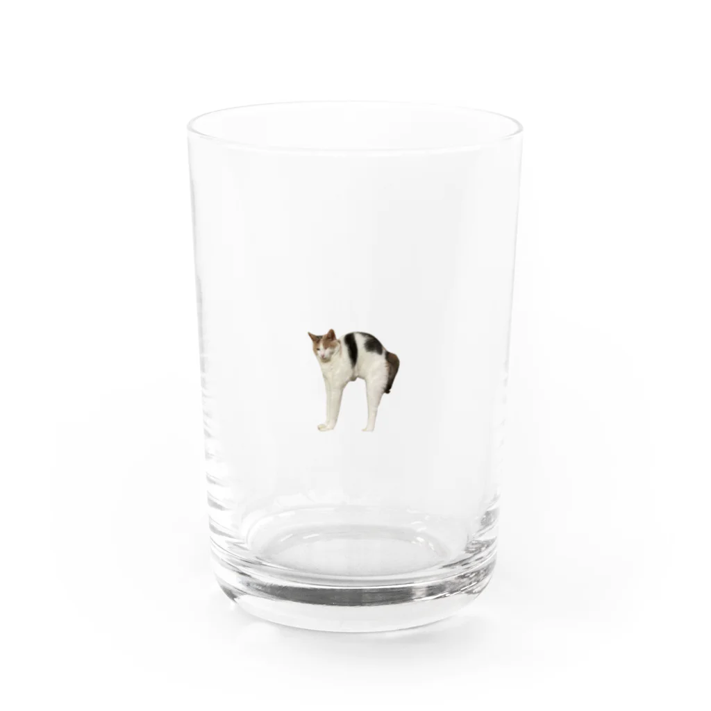 ねこっぷのねこっぷ Water Glass :front