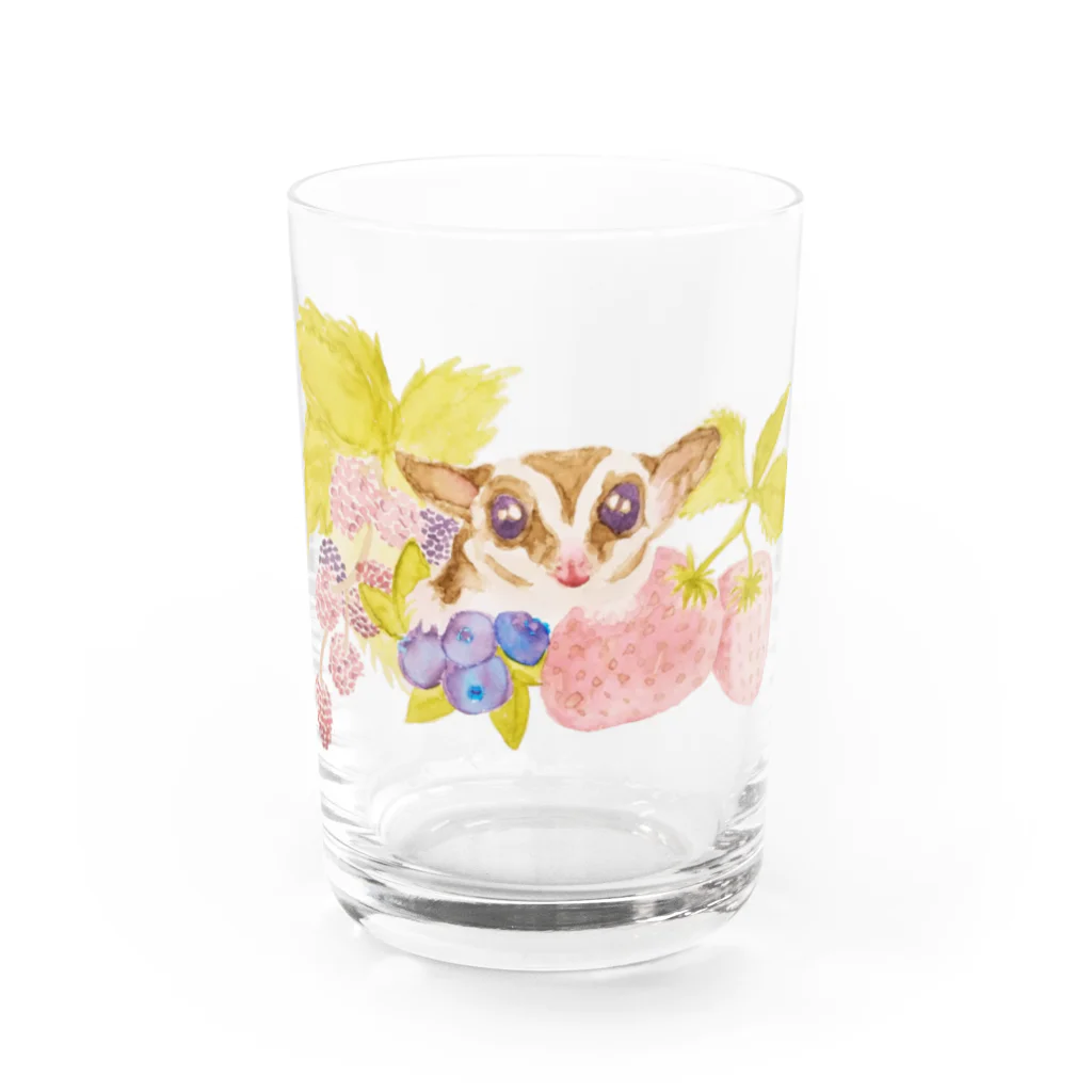 chiro's storeのフクロモモンガVer.2 Water Glass :front