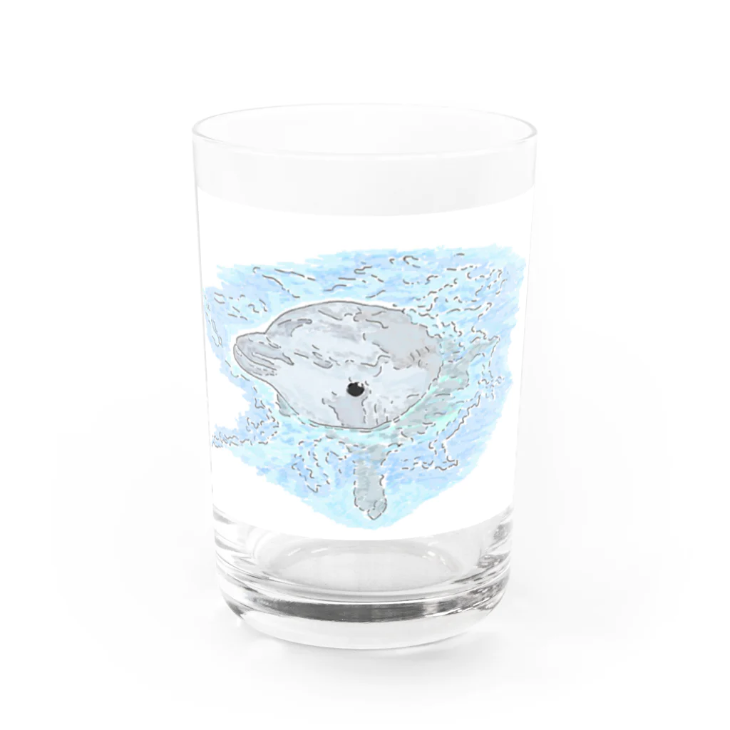 niwatsukinoの癒し、かわゆすのイルカちゃん。 Water Glass :front