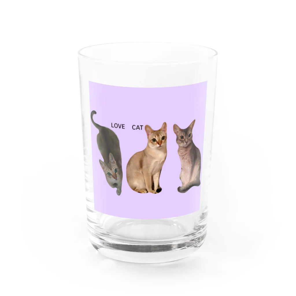 harupink🌸ペット似顔絵illustのLOVE  CAT シンガプーラ&アビシニアン グラス前面