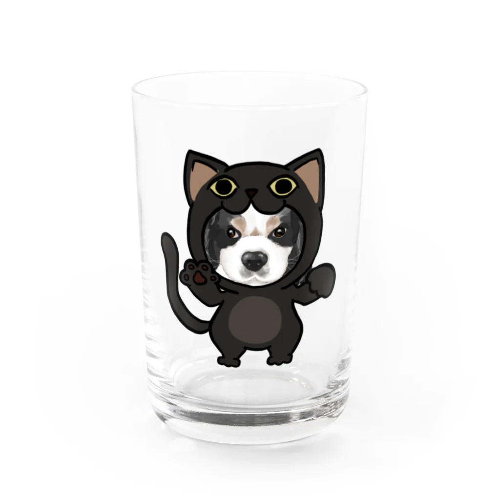 みきぞーん｜保護猫 ミッキー画伯と肉球とおともだちのmaruku Water Glass :front