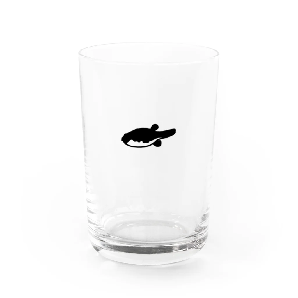 FUGU_GOODSのFreshwater blowfish Water Glass :front