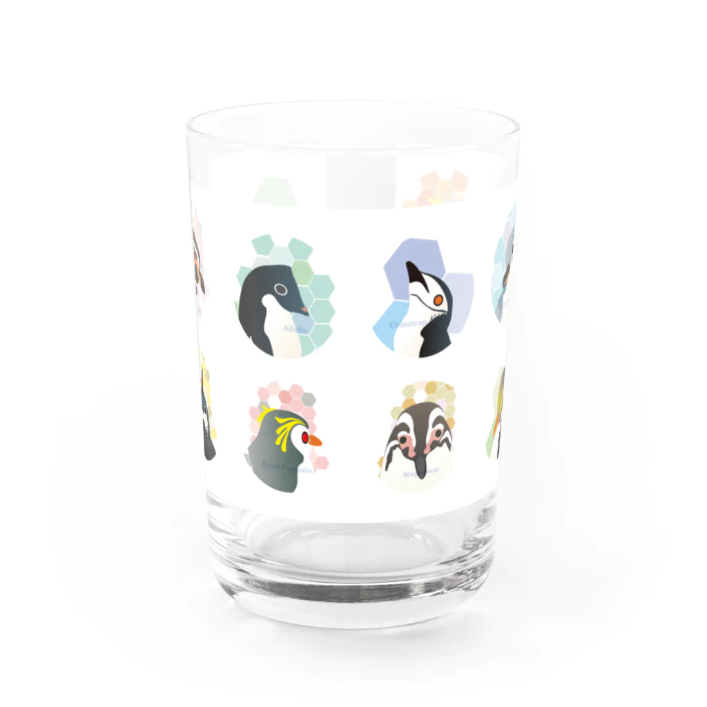 ペンギンパカリの12ペンギンズ Water Glass :front