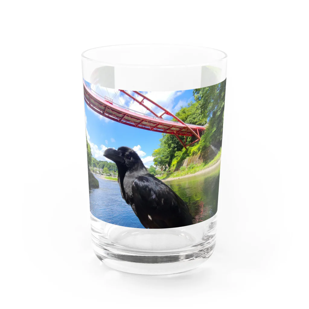 がーちゃんねる（※カラスの名前はクロです）のがーちゃんねる カラスのクロ Water Glass :front