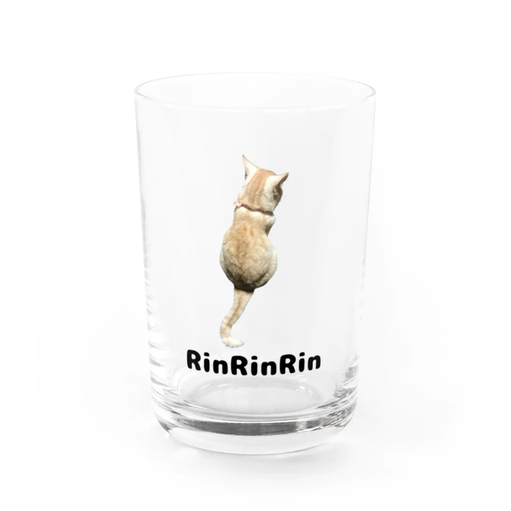 RinRinRinの後ろ向きの猫ちゃん Water Glass :front