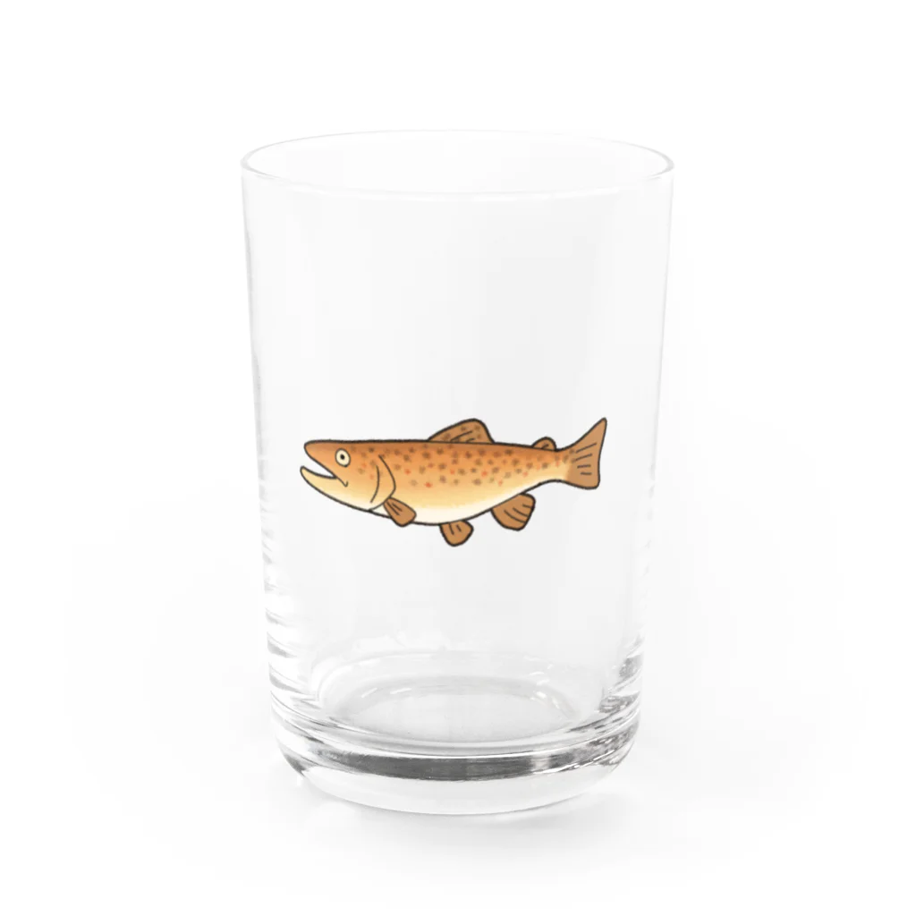 のぞみユニ🐟のブラウントラウト（カラー） Water Glass :front